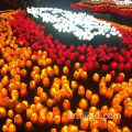 LED ROAD LIGHTSCAPE LIGHTS